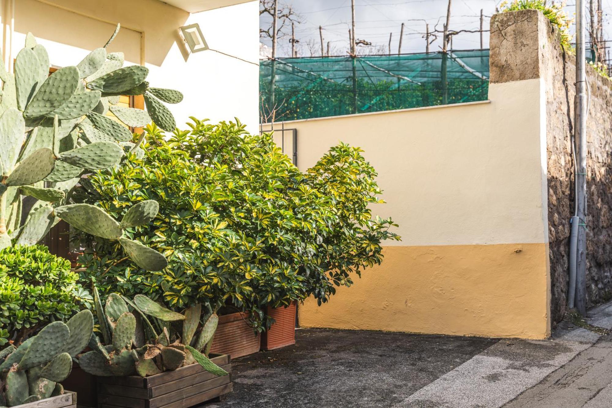 Sorrento Central Flat Luaran gambar